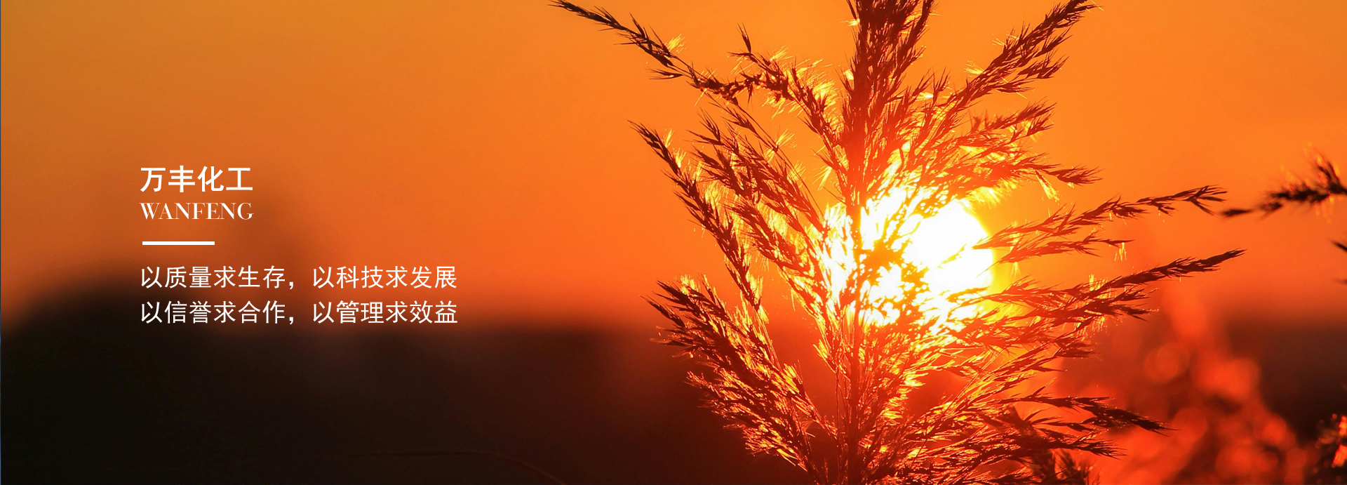 浙江万丰化工股份有限公司