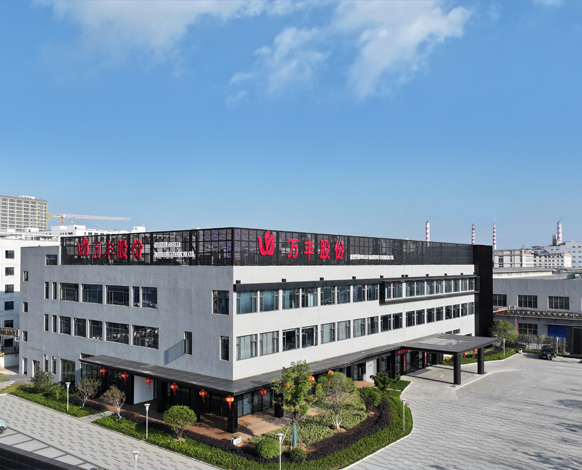 浙江万丰化工股份有限公司